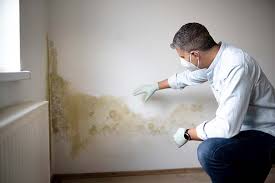 Why You Should Choose Our Mold Remediation Services in Spotsylvania Courthouse, VA